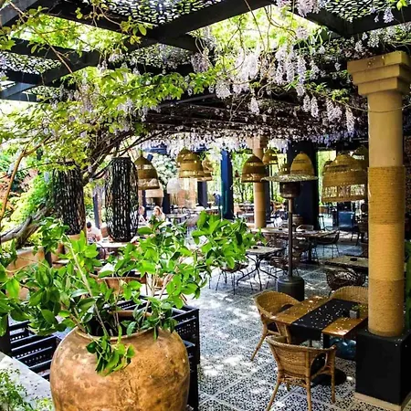 Luxury Giardino Lozenetz 别墅 洛泽内茨