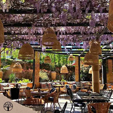 Luxury Giardino Lozenetz 别墅 *